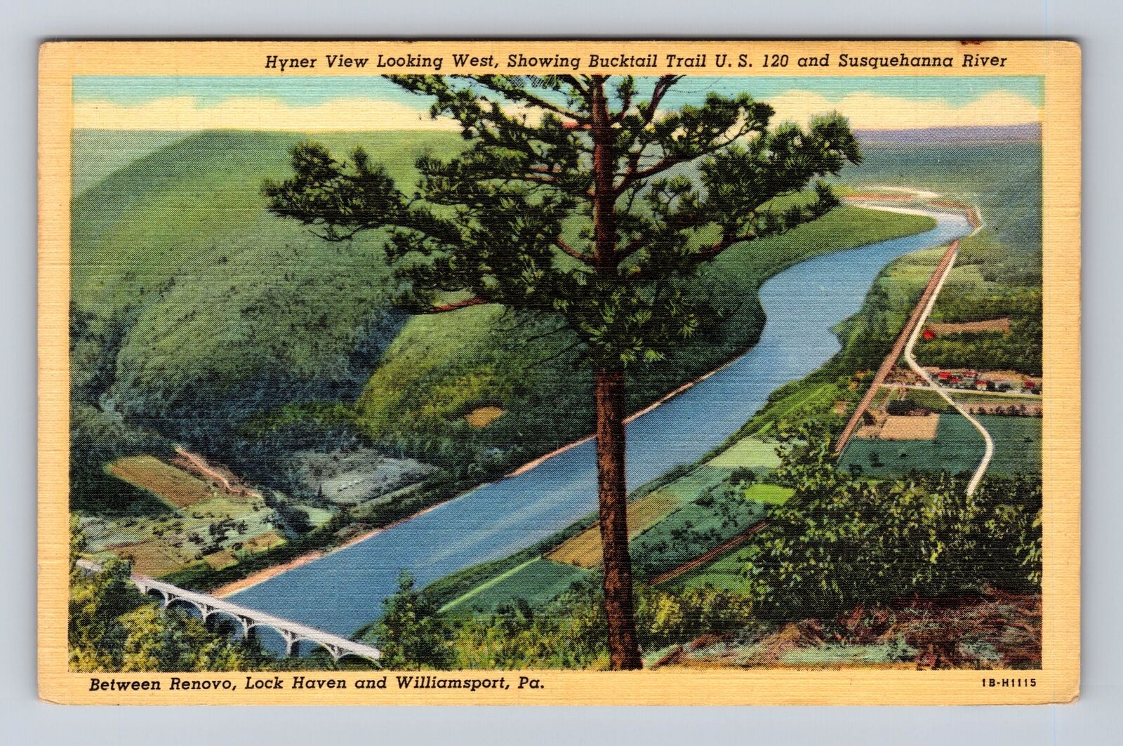 Williamsport PA-Pennsylvania, Susquehanna River, Antique Vintage Postcard