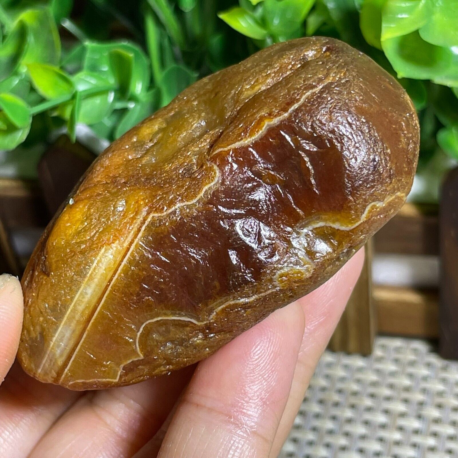 Top Bonsai Suiseki-Natural Gobi Agate Eyes Stone-Rare Stunning Viewing 152g A45