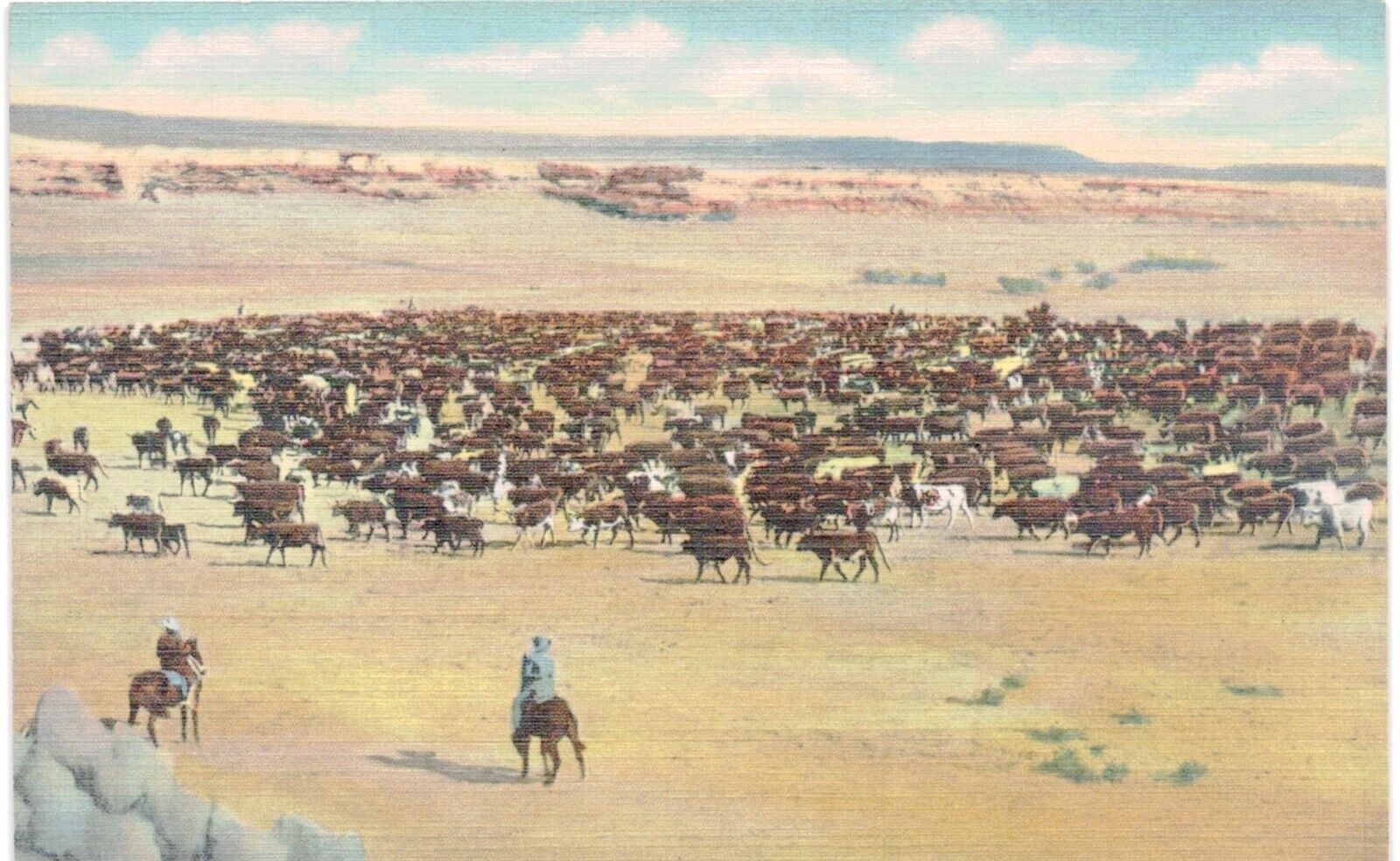 Wyoming Cattle Roundup 1950 MT 