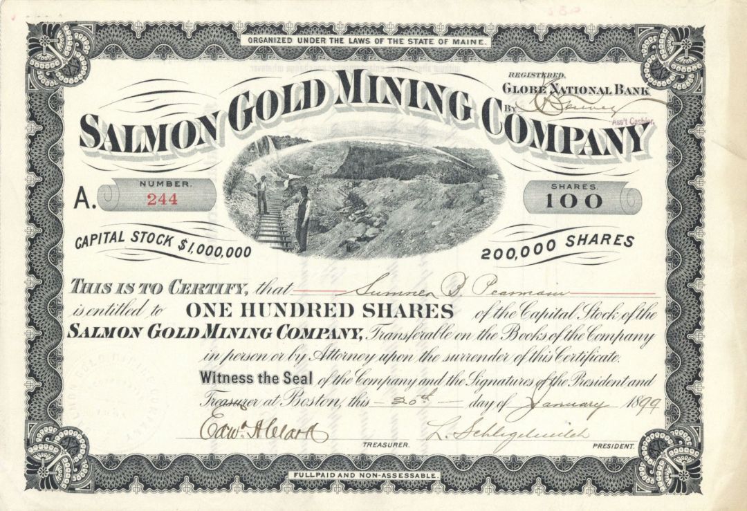 Salmon Gold Mining Co. - Stock Certificate - Mining Stocks