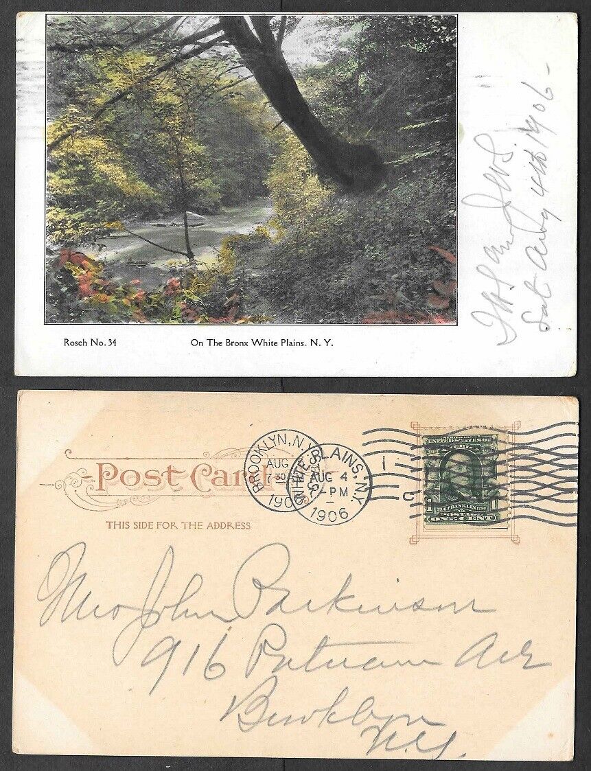 1906 Postcard - White Plains, New York - On the Bronx - Rosch #34
