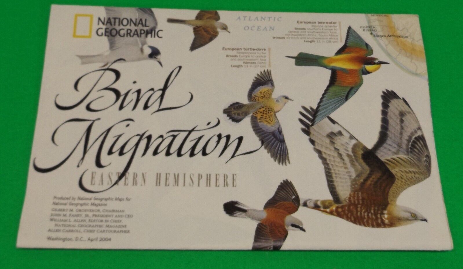 BIRD MIGRATION MAP EASTERN+ WESTERN HEMISPHERE National Geographic April 2004