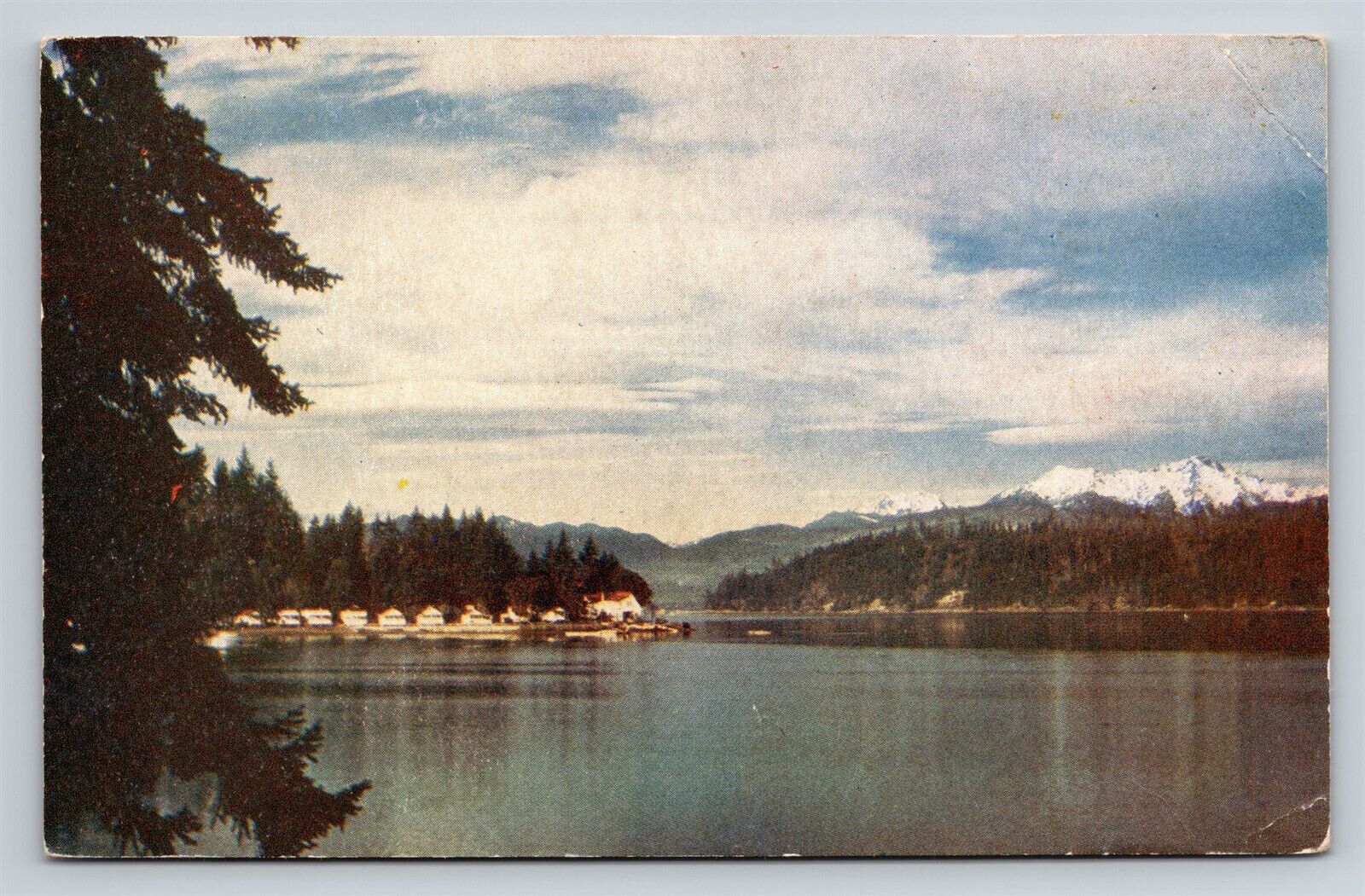 WA Hood Canal Olympic Peninsula Bremerton Washington Vintage Postcard View