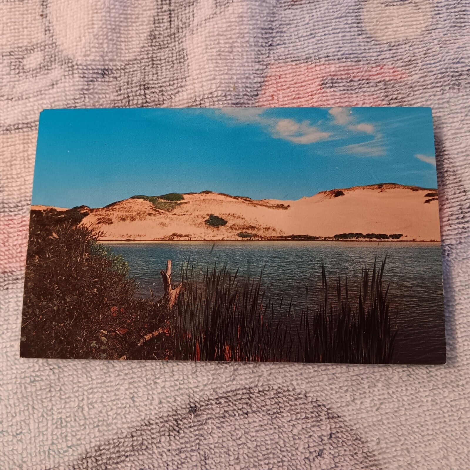 Postcard Cape Cod Sand Dunes P31338 Vintage Plastichrome 