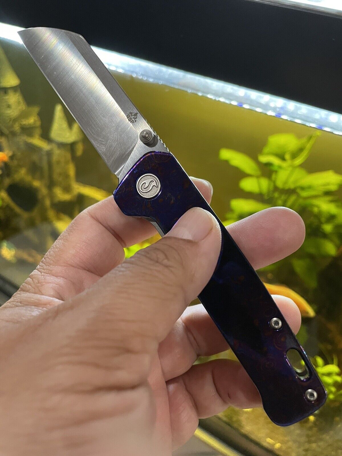 Kaviso X QSP Penguin Titanium Framelock Mokuti S35VN Satin Blade Knife New