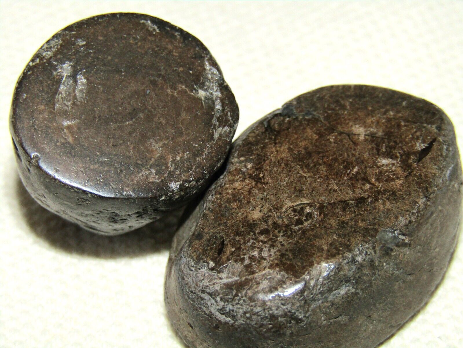 2x Late Triassic/Jurassic Marine Coprolites with Hand Polished Facets