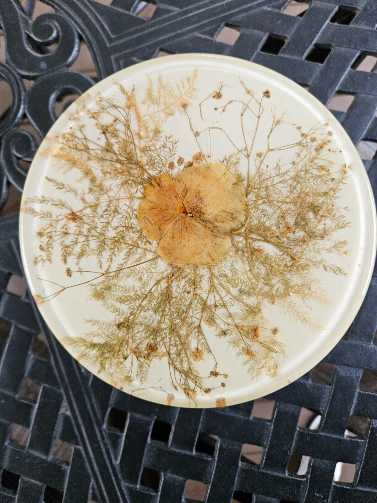Vintage Lucite 1970's Trivet  With dried Flowers BOHO Collectible Retro Kitchen 