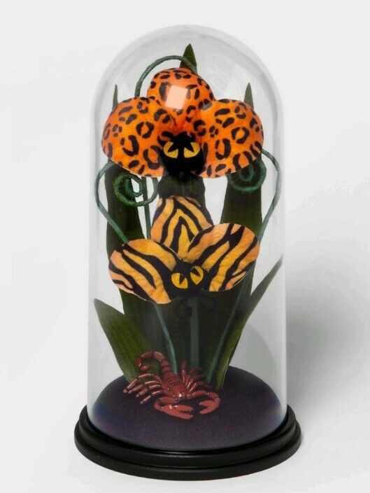 Halloween Faux Plant In Cloche Terrarium Hyde And EEK target New