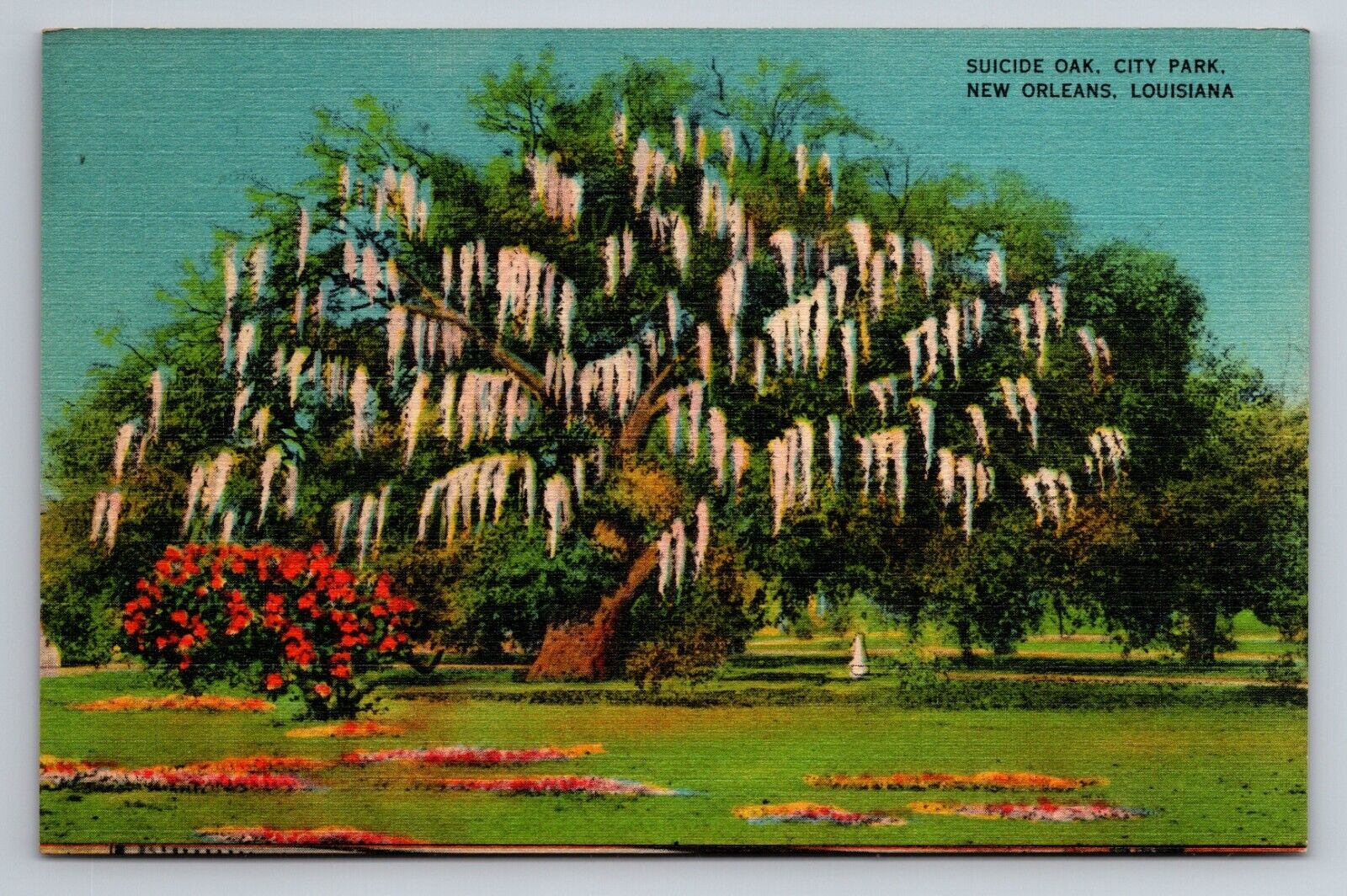 Suicide Oak City Park New Orleans Louisiana Vintage Unposted Linen Postcard