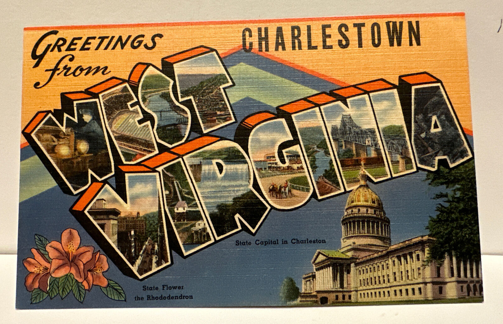 1946 Greetings From State Flower Charlestown West Virginia Large Letter Postcard