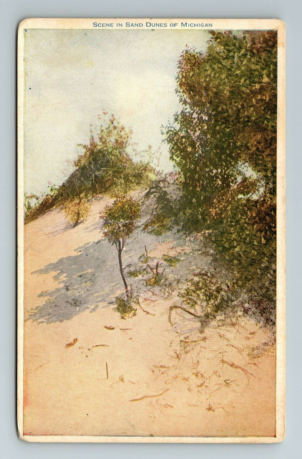 MI-Michigan, Scene In Sand Dunes, Scenic Nature View, Vintage Postcard