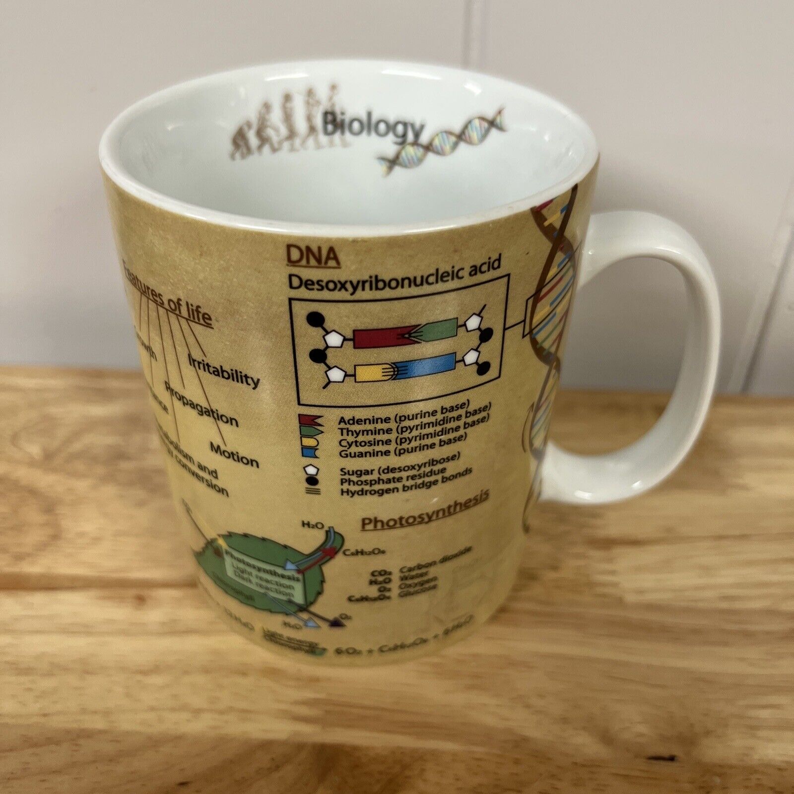 Konitz Science Biology Mug Cup Cell Evolution DNA Photosynthesis Gift 15oz