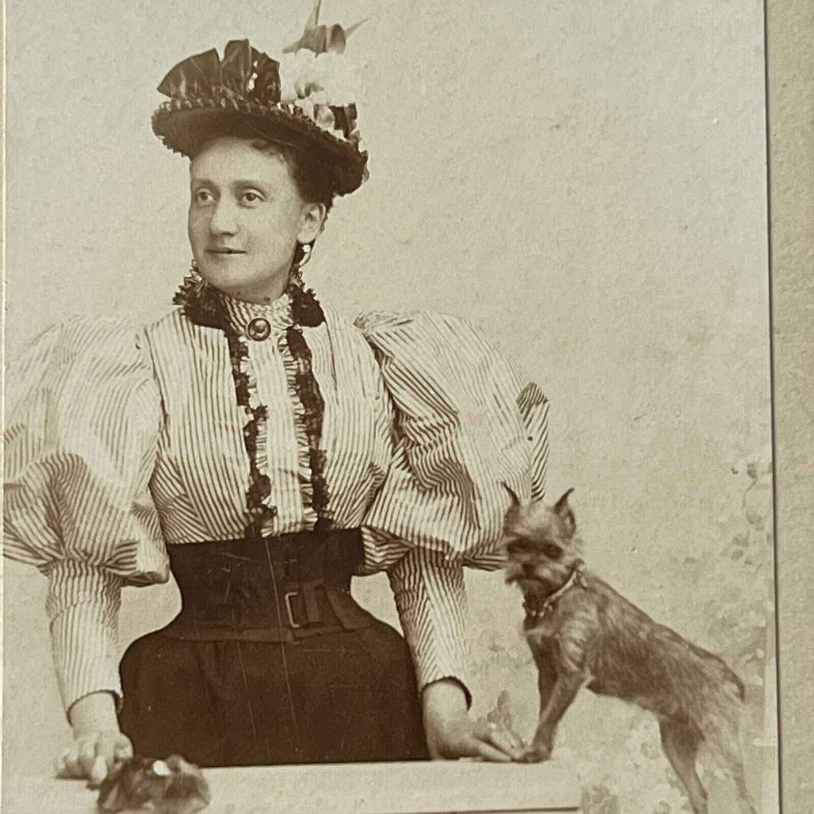 Antique CDV Photograph Beautiful Fashionable Affluent Woman Tiny Yorkie Dog