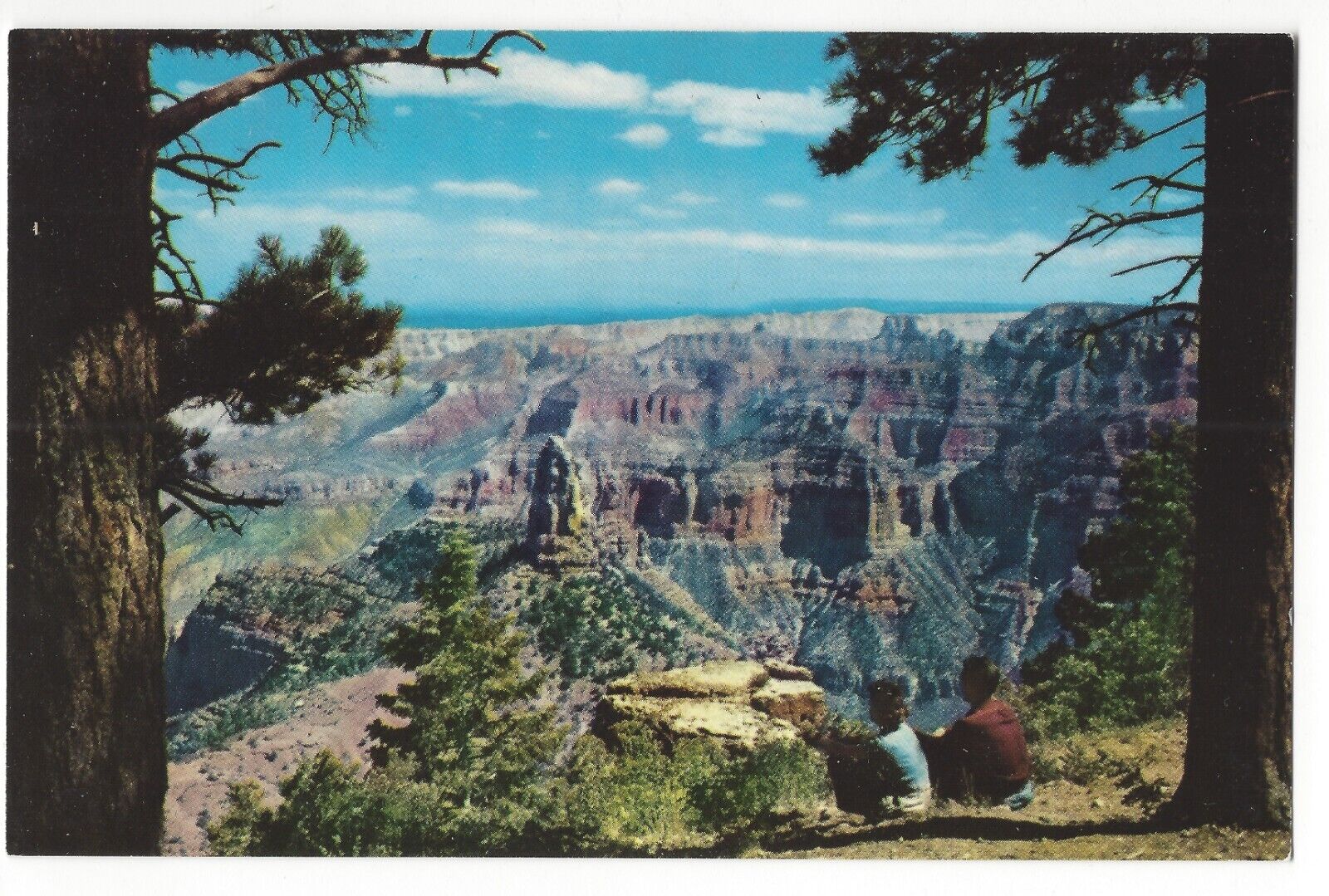 NORTH RIM of The GRAND CANYON of the Colorado, Hal RImel c1950\'s Unused Postcard