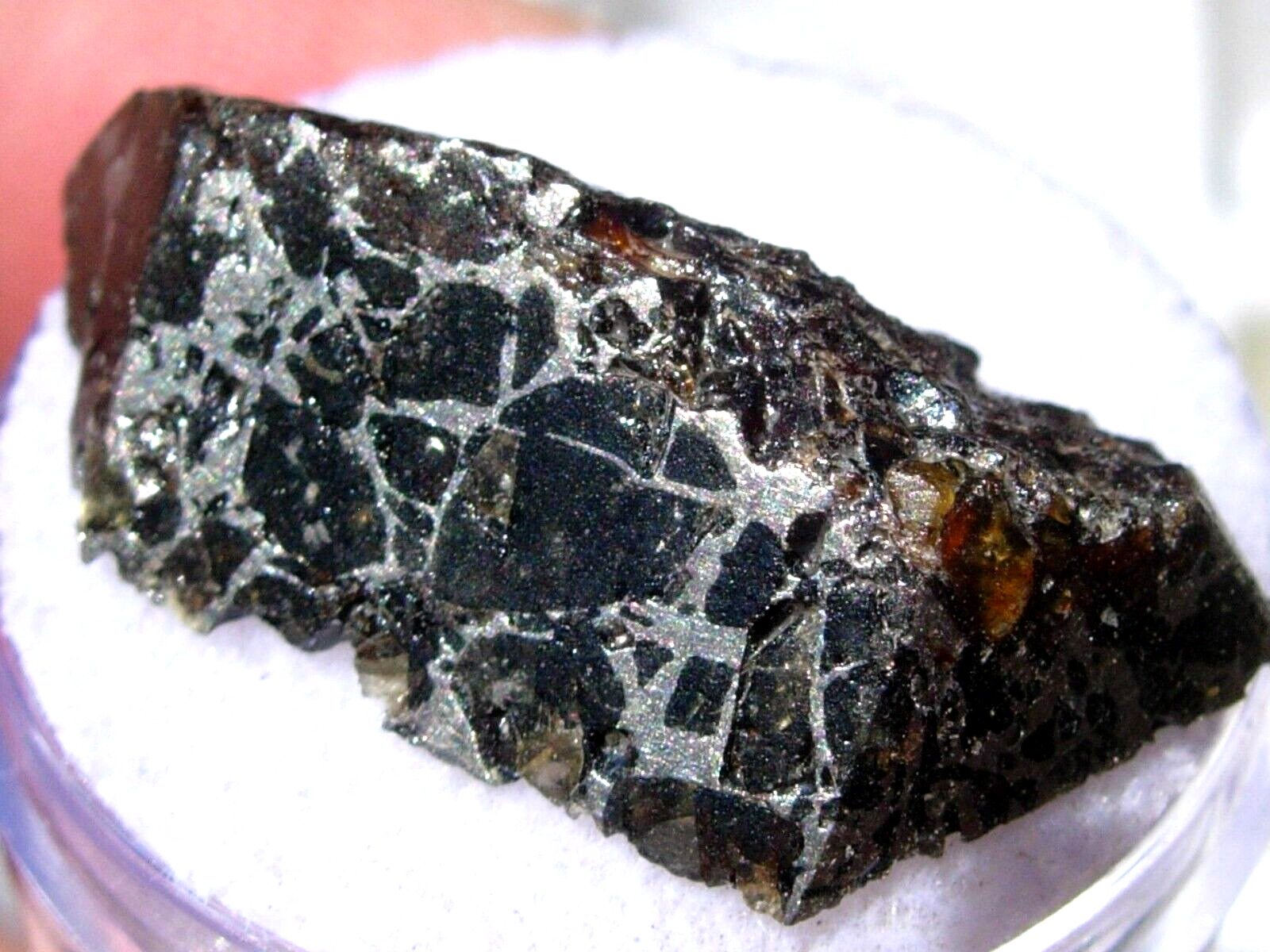4.92 grams 27x12x7mm Seymchan Russian Meteorite cut fragment- June 1967 with COA