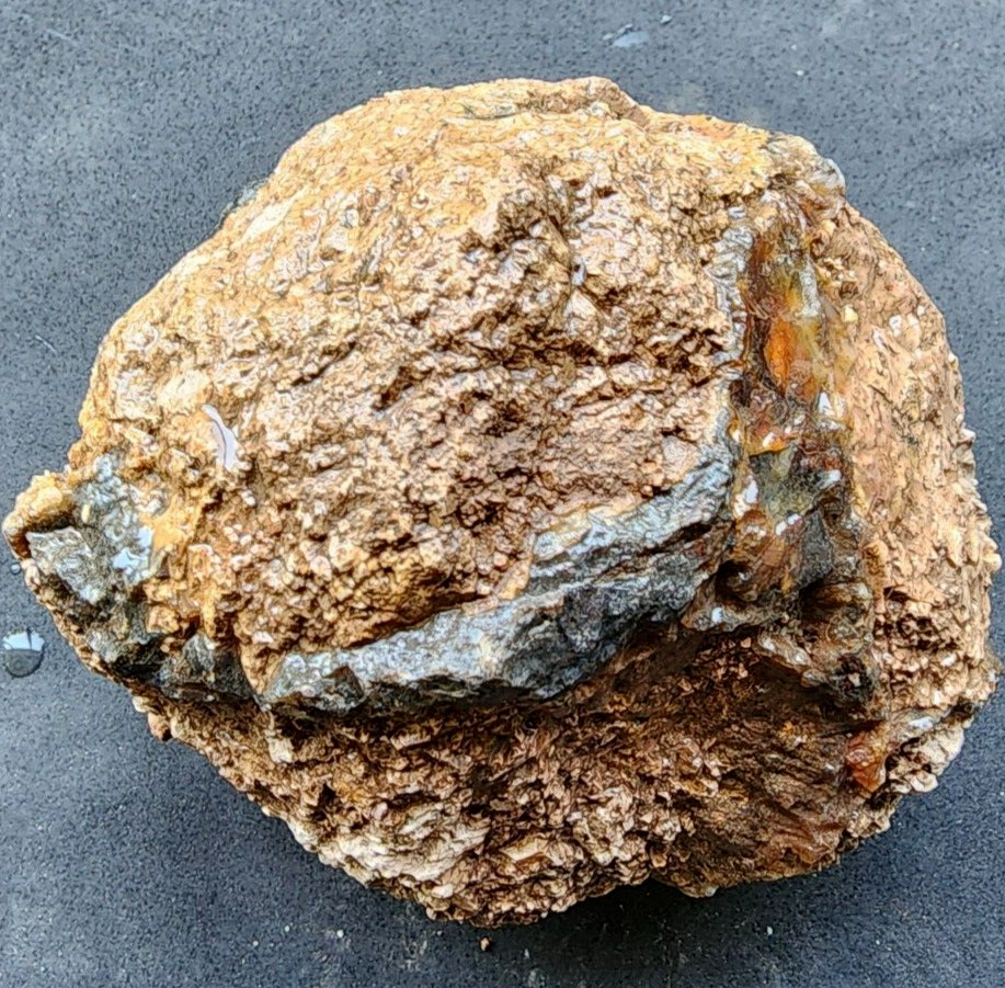 3.3 Ibs (1.5 kg) Uncut Thunder Egg, 異質晶洞, Geode Agate, ジオード, Геод, 晶洞, Agate