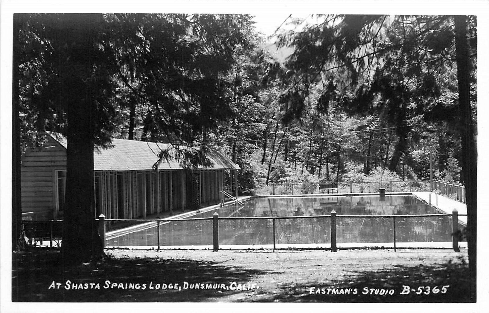 Postcard RPPC 1940s California Dunsmuir Shasta Springs Lodge Eastman CA24-339