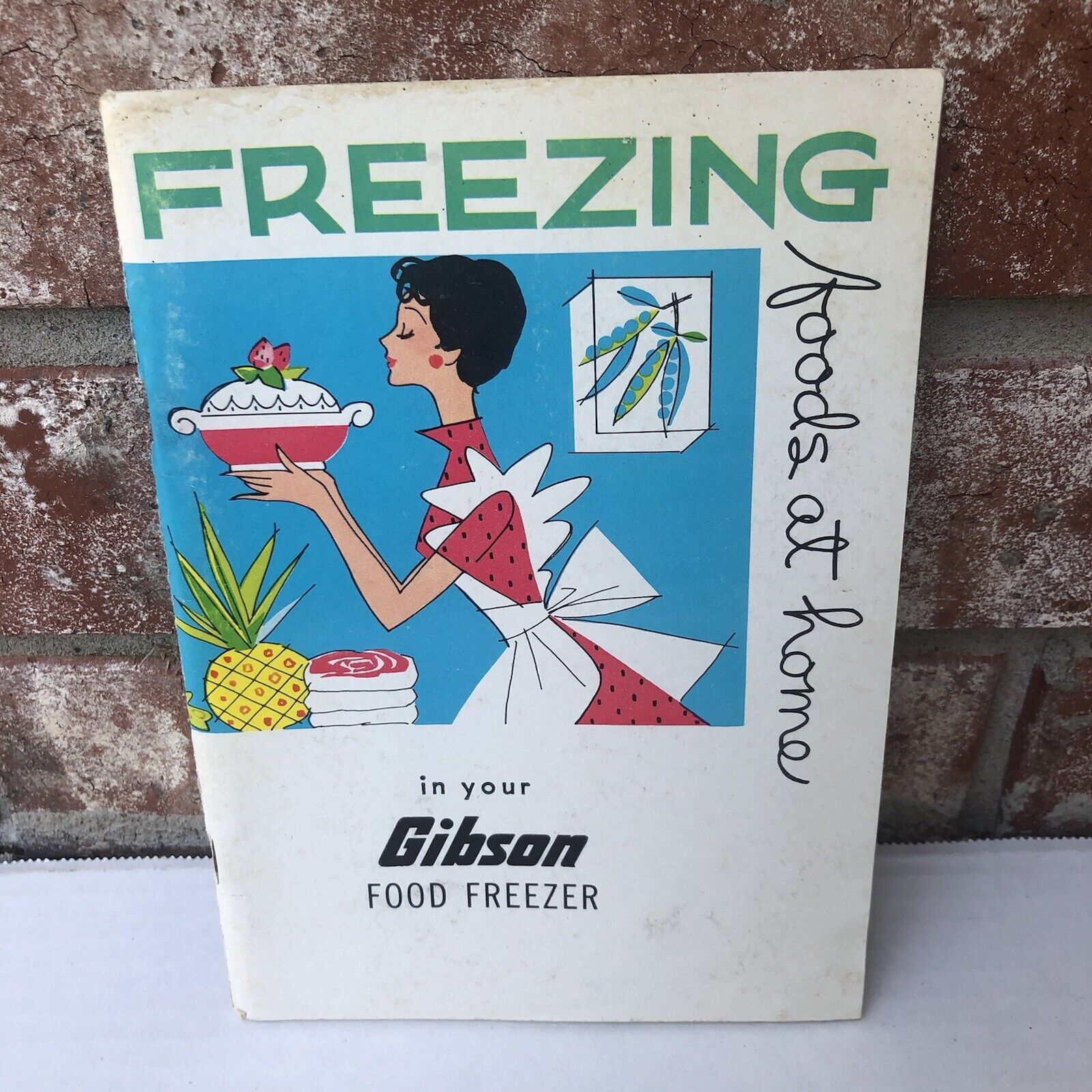Freezing Foods At Home In Your Gibson Food Freezer Manual Cookbook 1963 Vintage