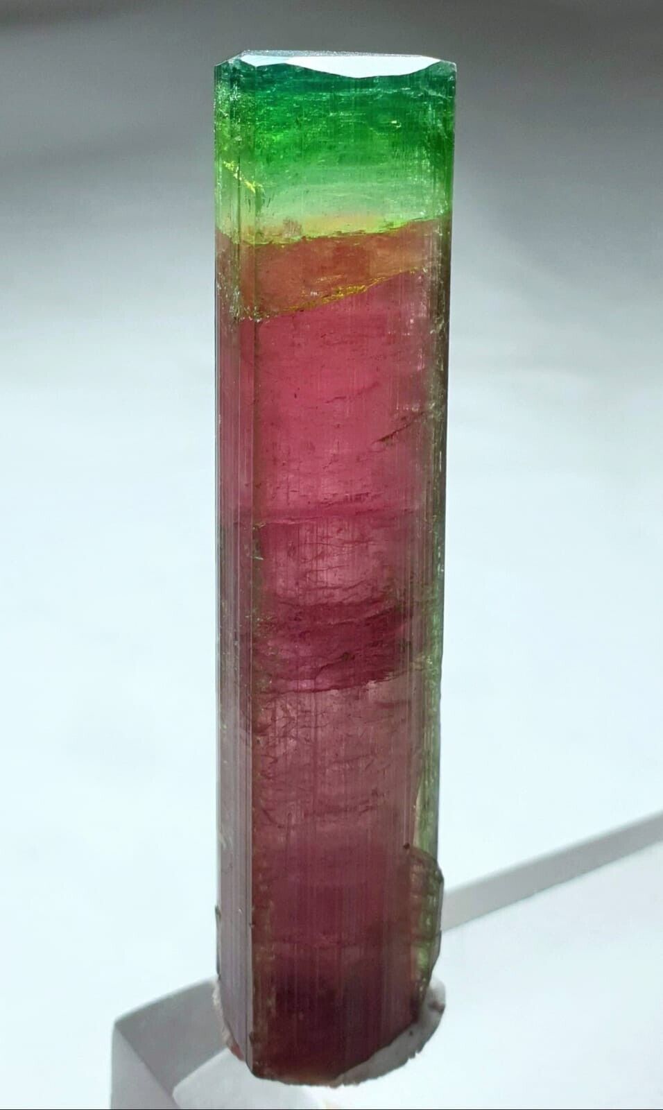 Beautiful Watermelon Tourmaline Rod Shape Heptagonal Terminated Crystal. N