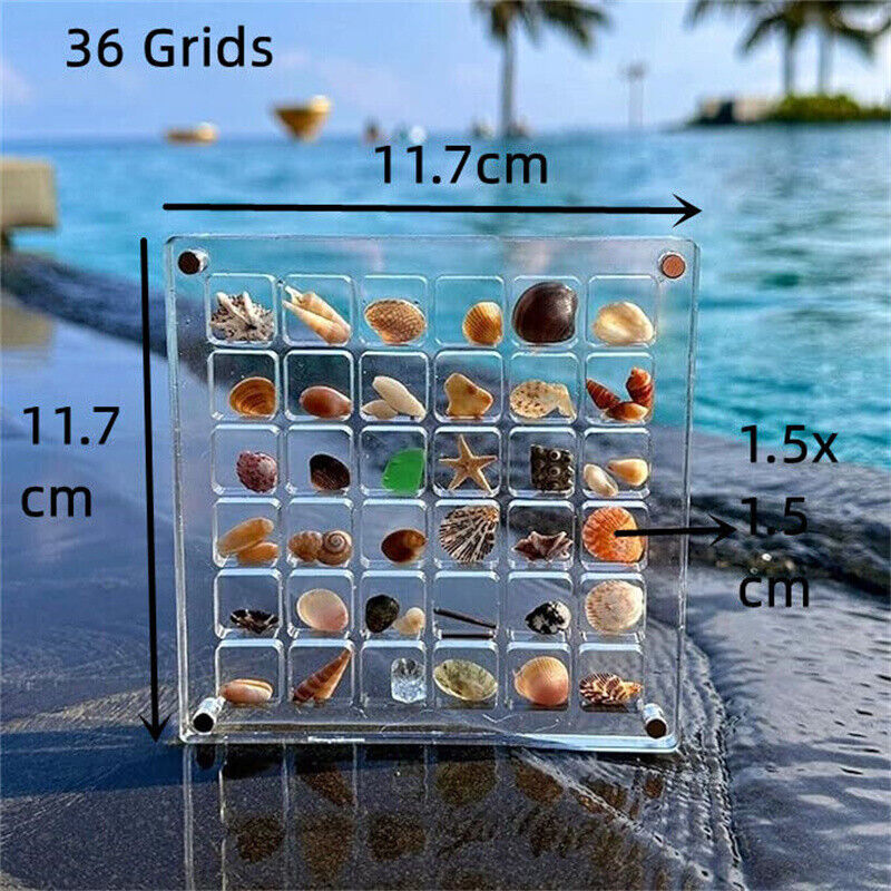 Acrylic Magnetic Seashell Display Box, 36-64Grids Gemstone Storages 