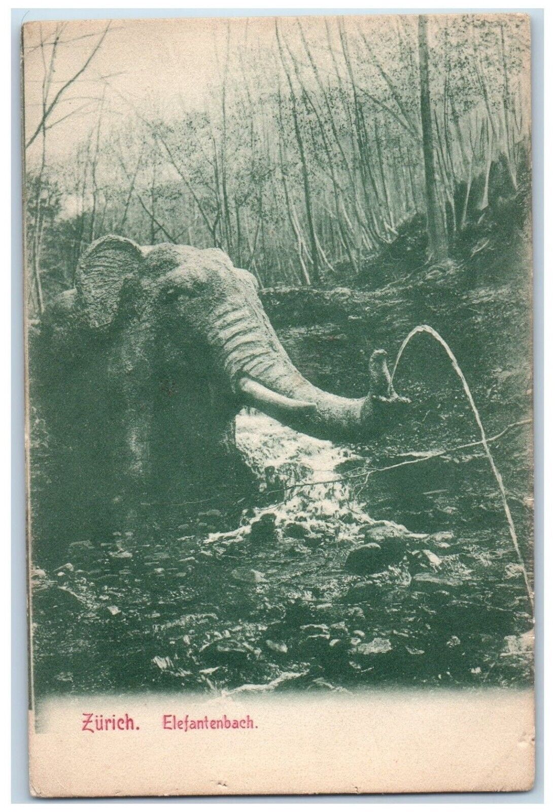 c1905 Zurich Elefantebach Elephant River Forest Rocks Vintage Antique Postcard
