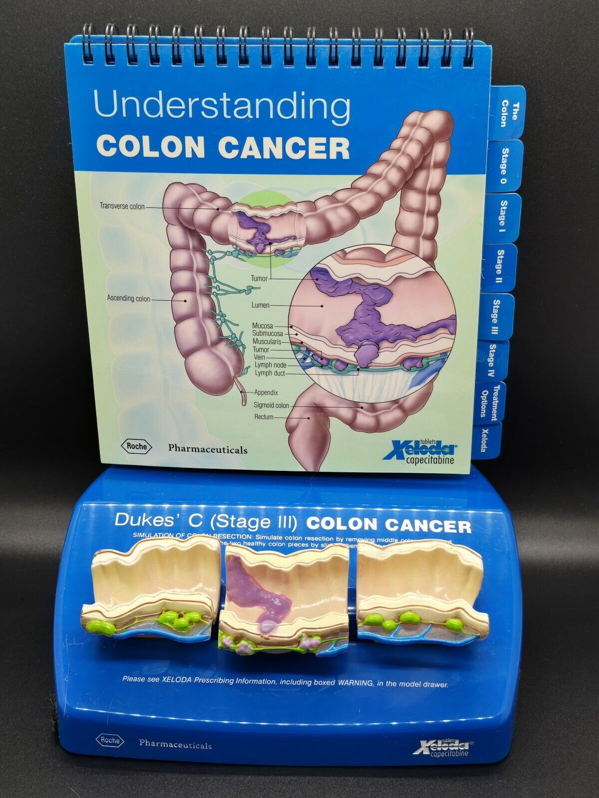 NIB Roche Pharmaceutical Xeloda Colon Cancer Anatomical Model & Chart Display 