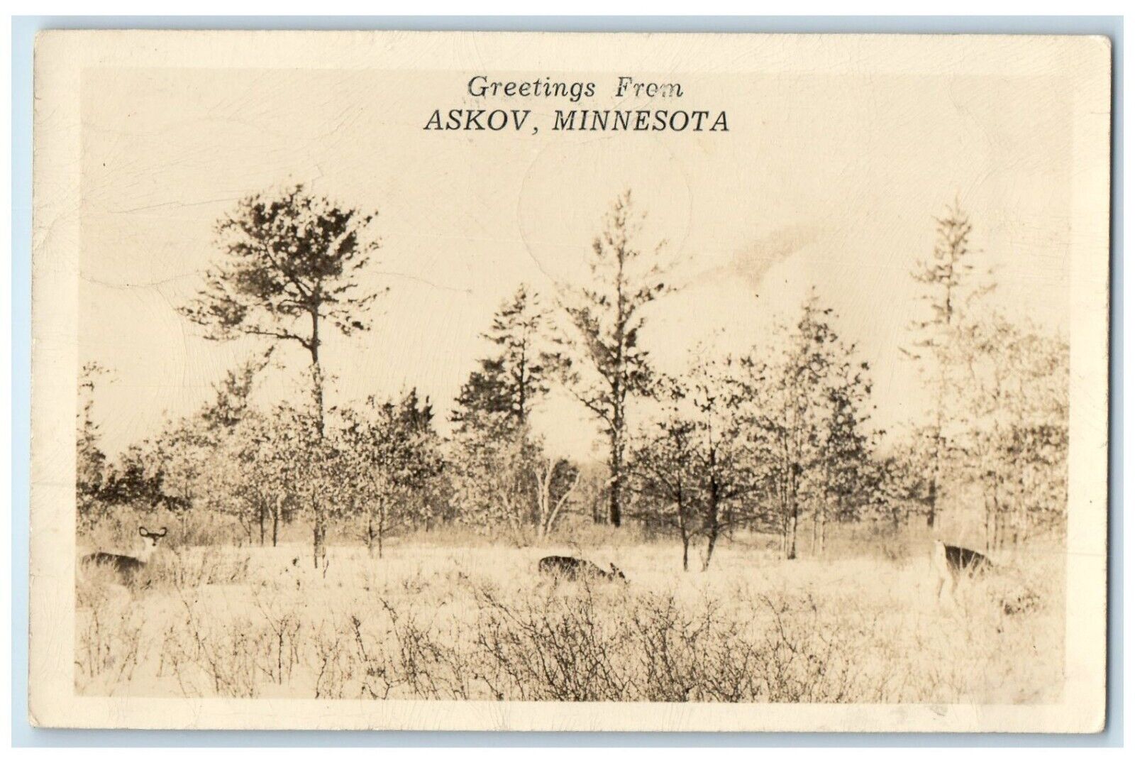 1946 Greetings From Askov Minnesota MN RPPC Photo Posted Vintage Postcard