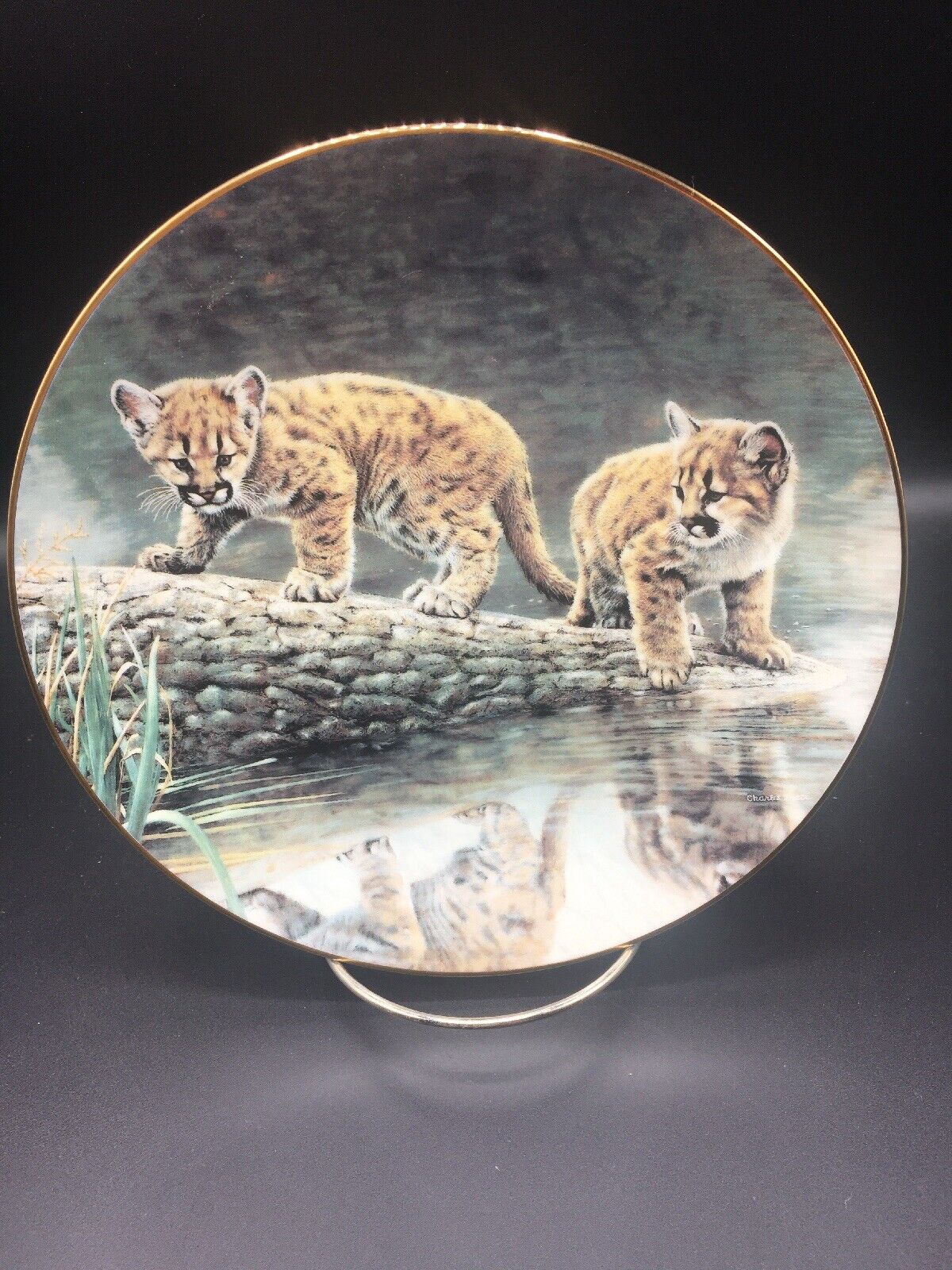 Reflections From The Wild Innocents Series - W. L. George Collector Plate ~