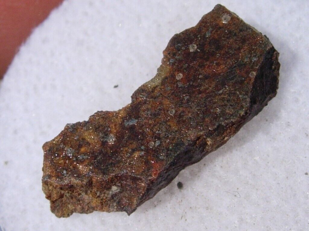 .805 grams Old Camp Wash Meteorite ( L6 ) Found in Arizona 2015 comes with a COA