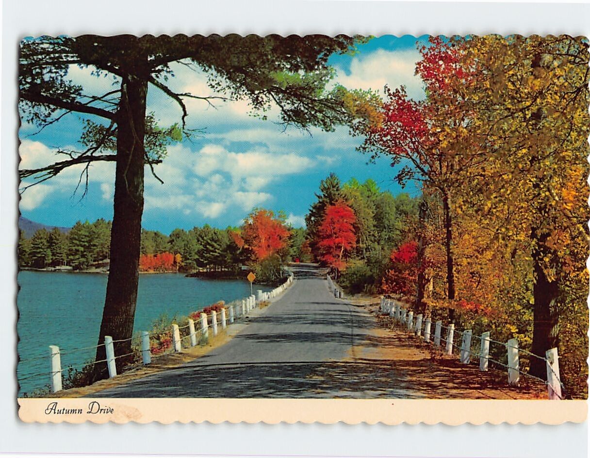 Postcard Autumn Drive