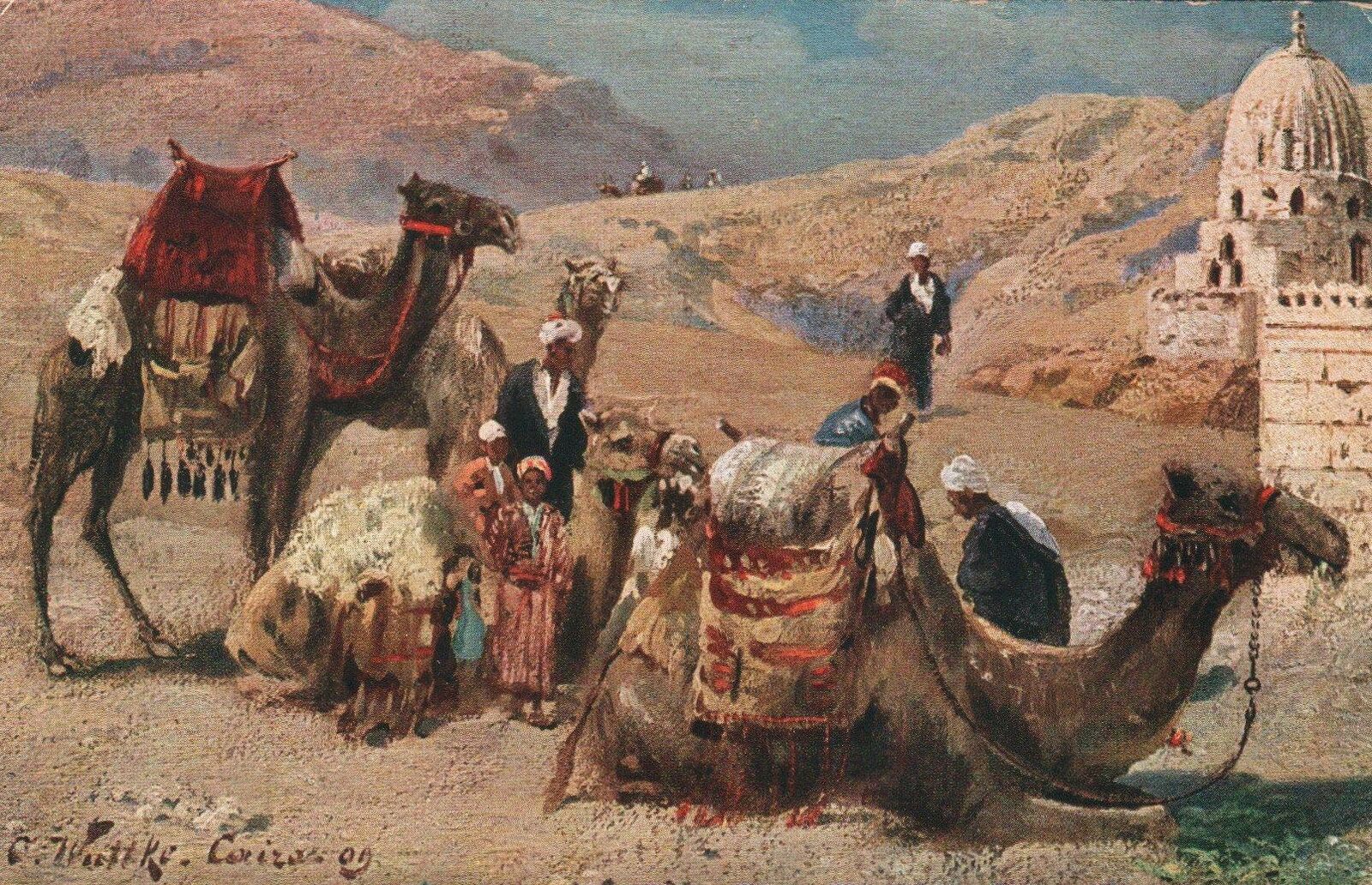 ANTIQUE Pre WWI Egypt Cairo Desert Camels Carrying Goods POSTCARD - UNUSED