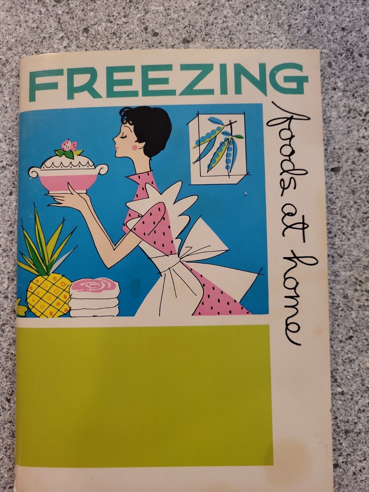 Freezing Foods At Home 1977 Shirley Rolfs Meidinger Home Economist
