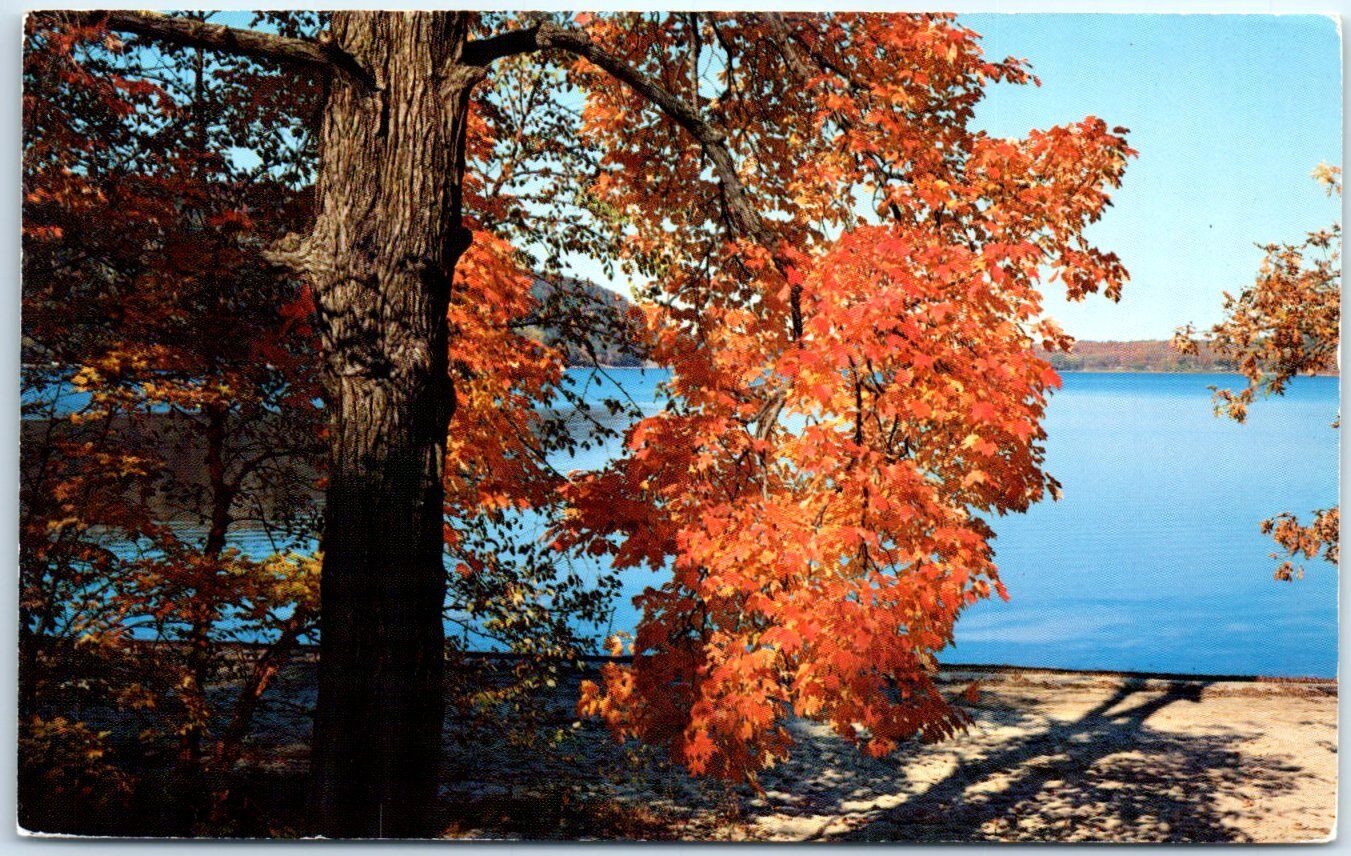 Postcard - Autumn Maple At The Lakeside