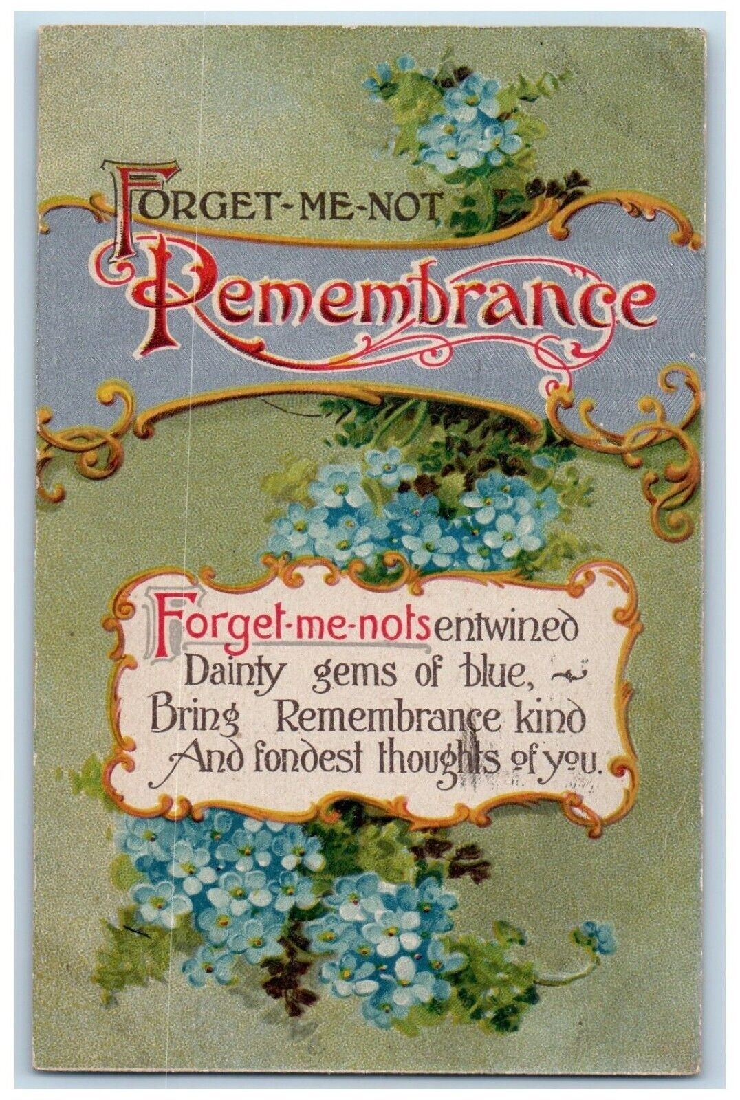 Language Of Flowers Romance Postcard Forget Me Not Remembrance Springfield OH