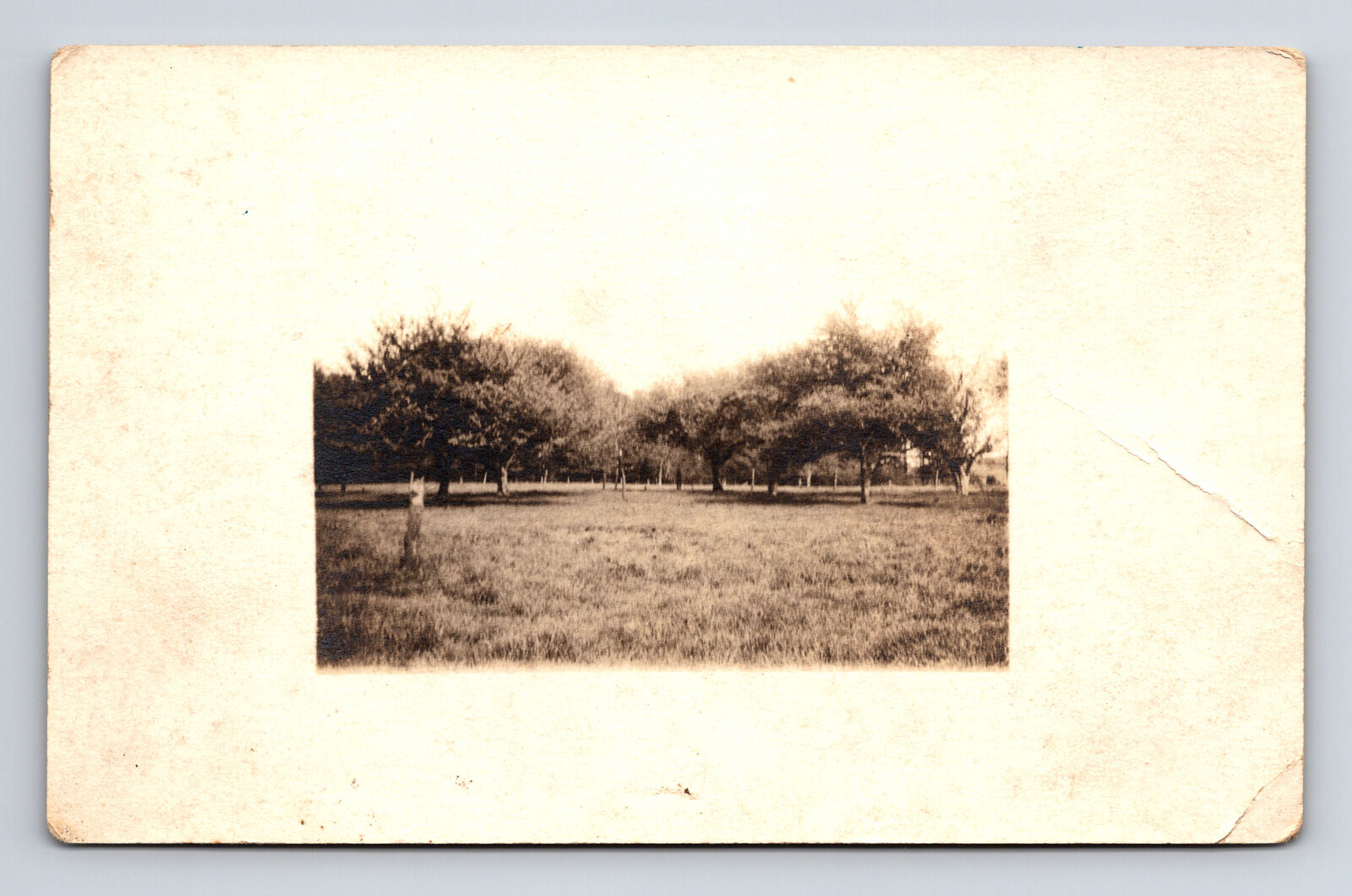 RPPC Unknown Orchard Farm View Postcard