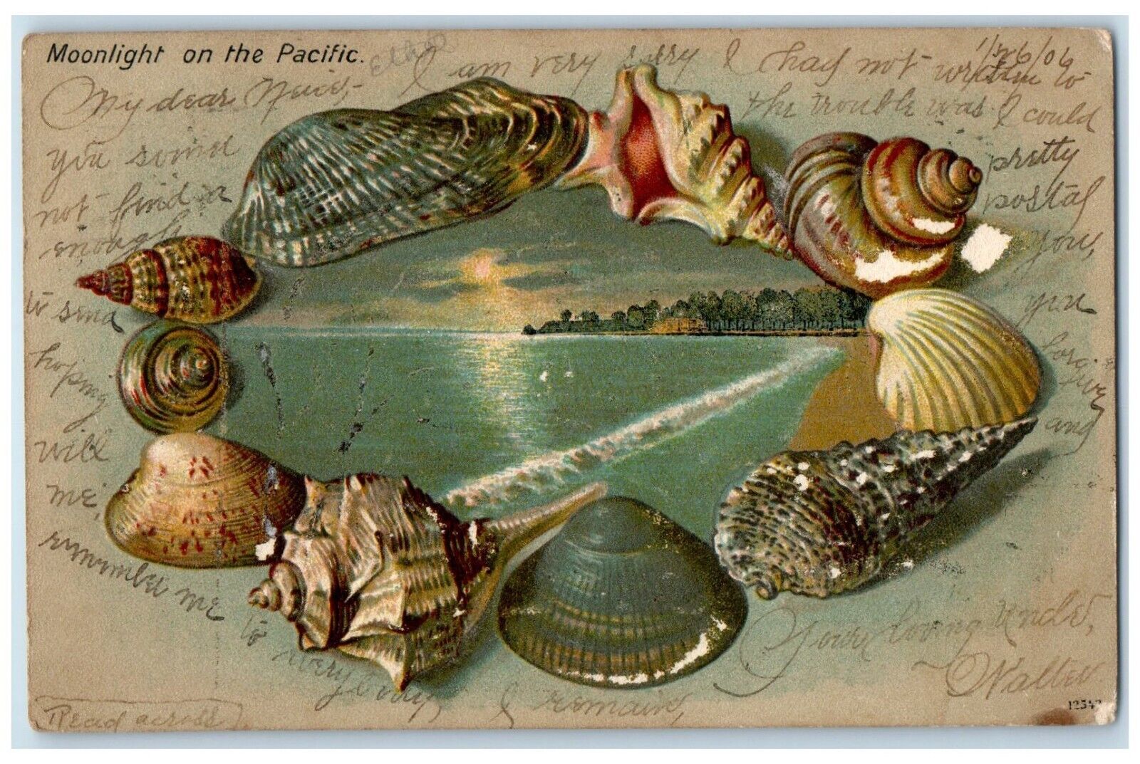 1906 Moonlight On The Pacific Shells Embossed Los Angeles CA Antique Postcard