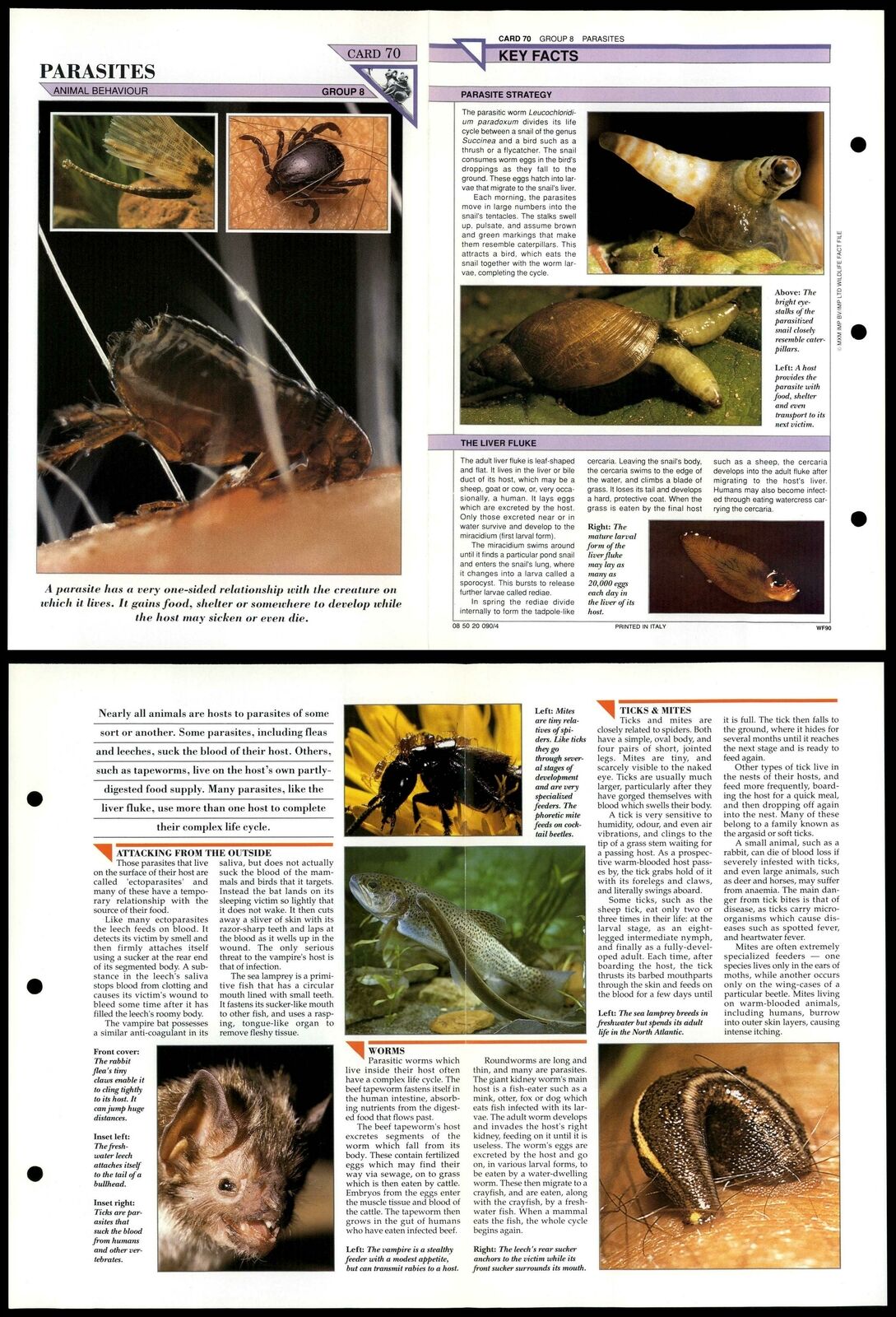 Parasites #70 Behaviour Wildlife Fact File Fold-Out Card