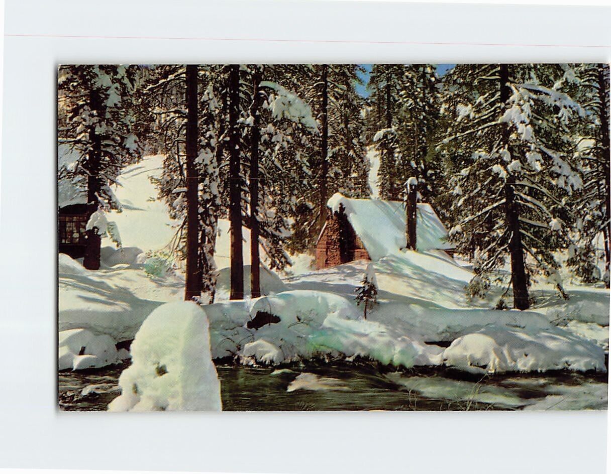 Postcard Winter Nature Scene