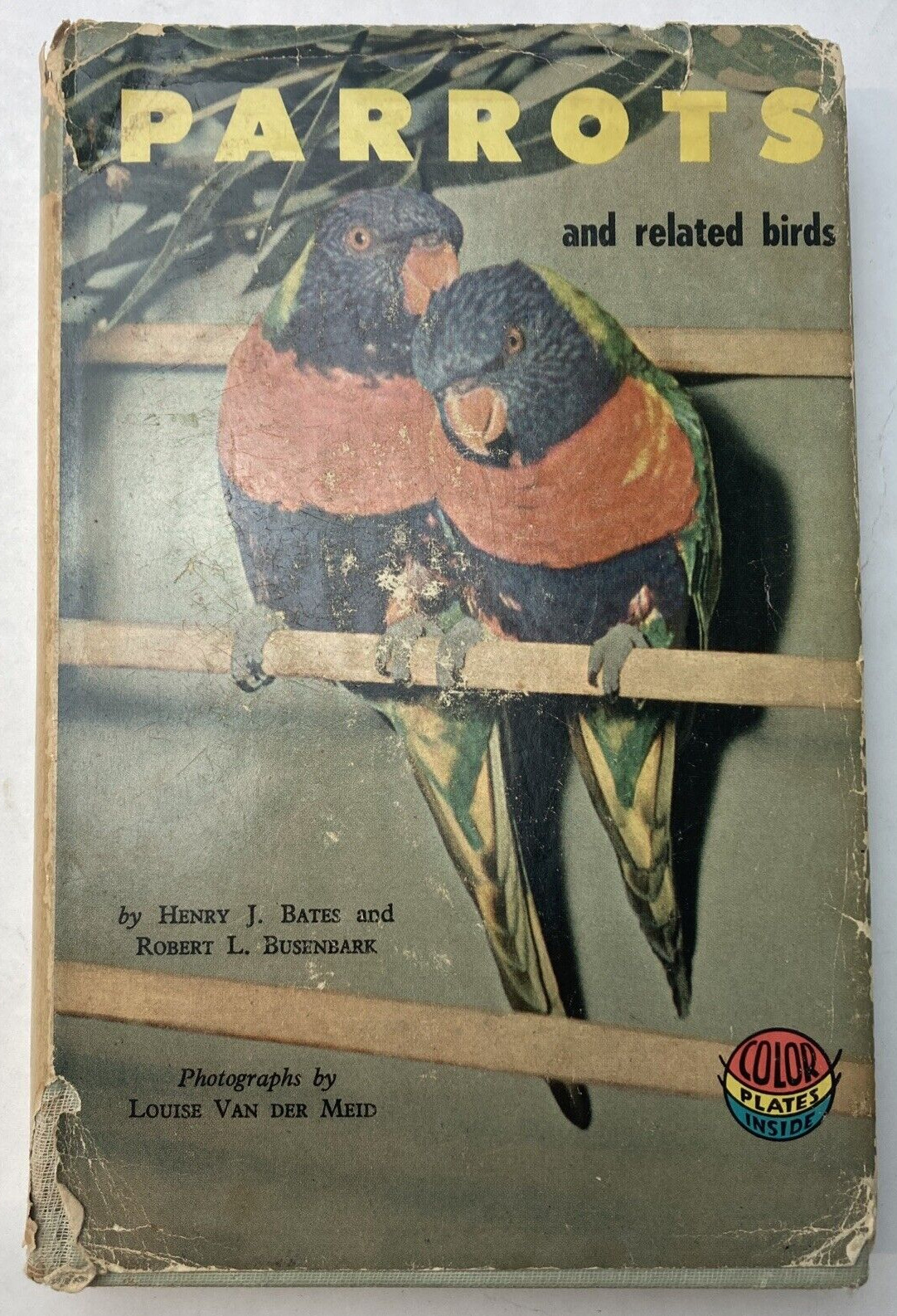 1959 Parrots and Related Birds Henry Bates Robbert Busenbark Bird Book