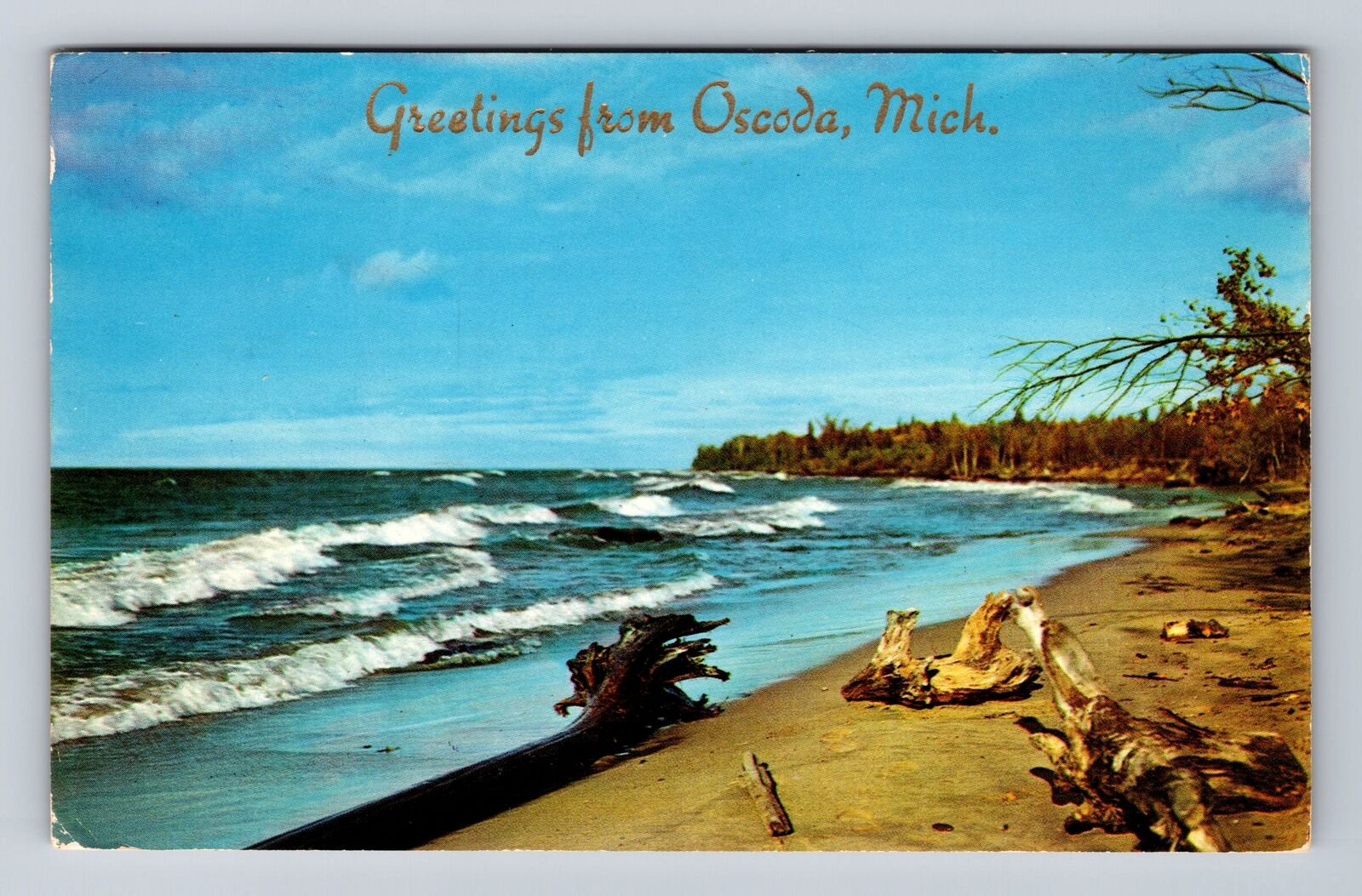 Oscoda MI-Michigan, Scenic Greetings, Driftwood along Lake, Vintage Postcard