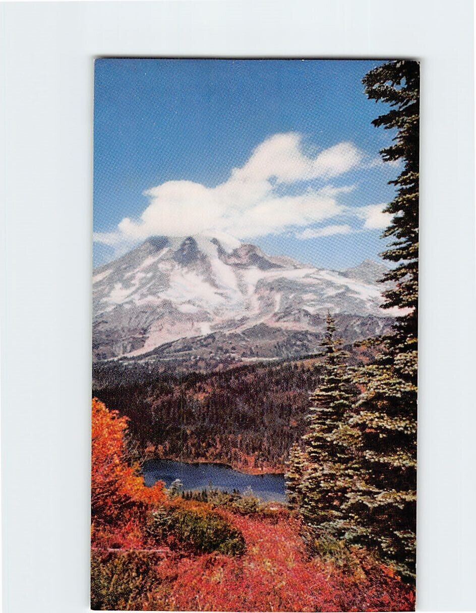 Postcard Magnificent Mount Rainier Washington USA