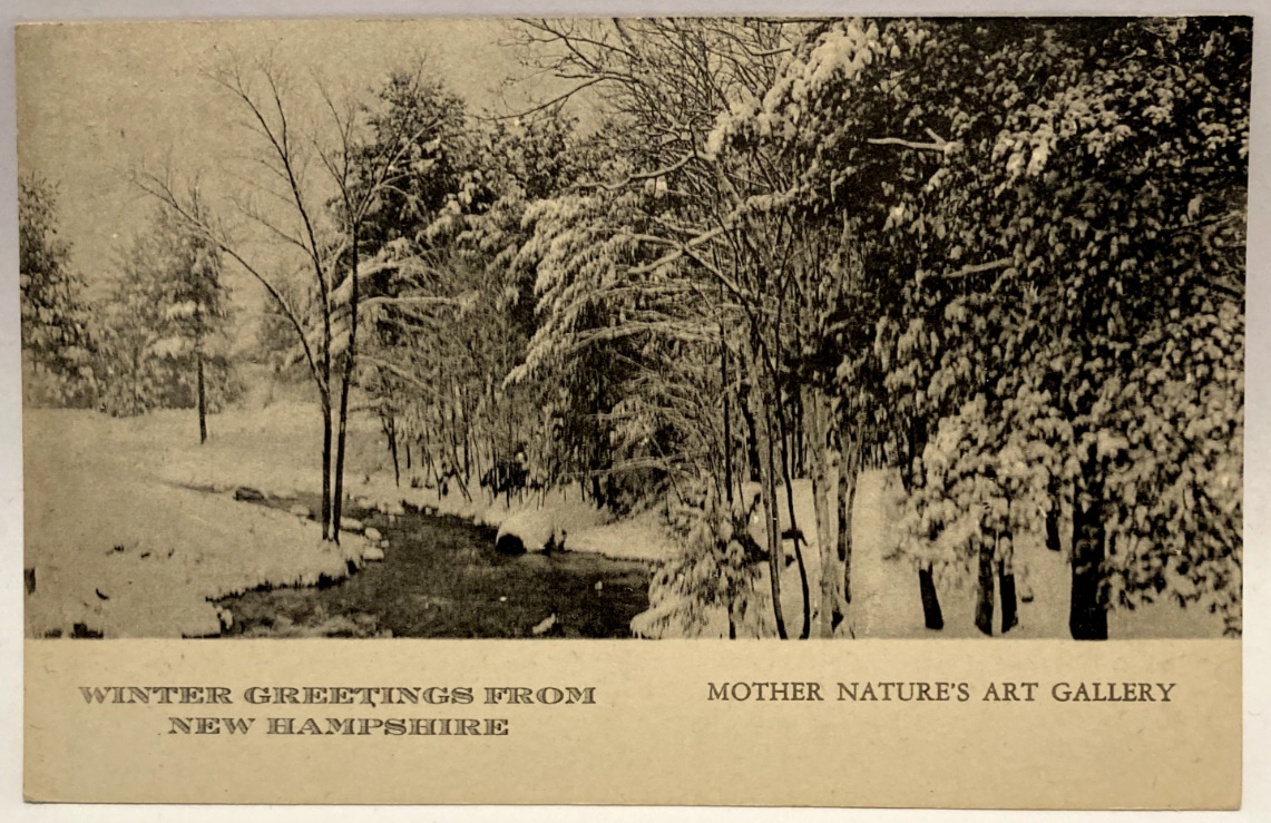 Winter Greetings from New Hampshire NH Vintage Postcard