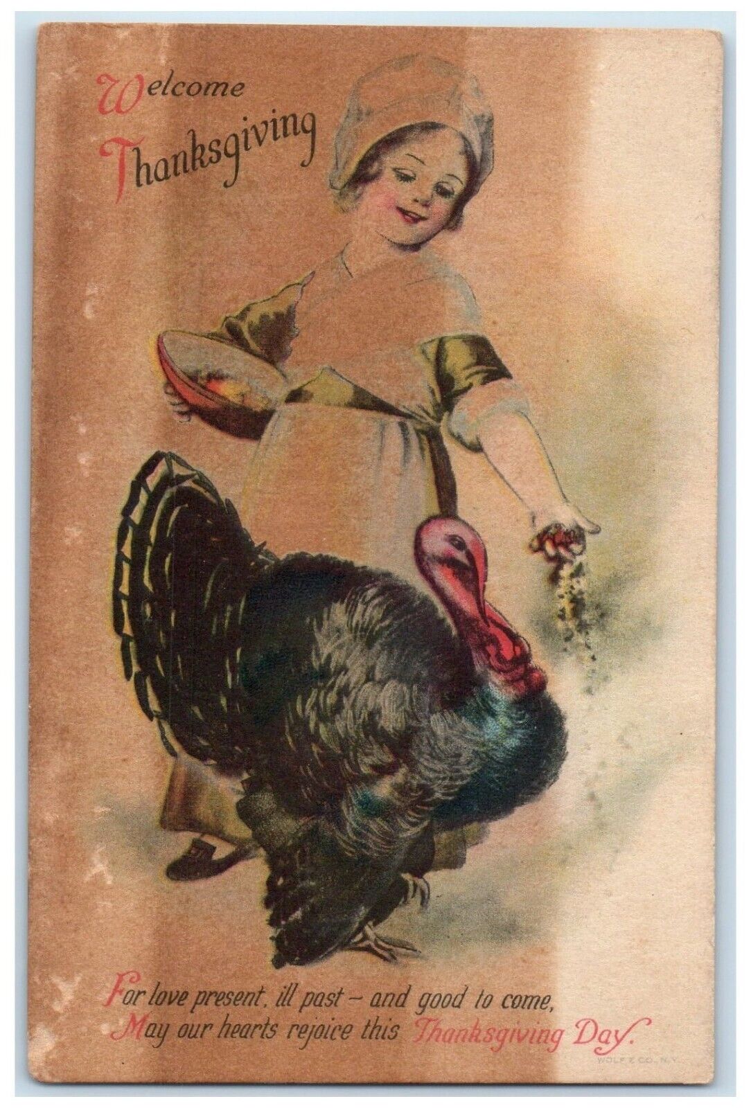 c1910's Thanksgiving Woman Feeding Turkey Wolf Unposted Antique Postcard