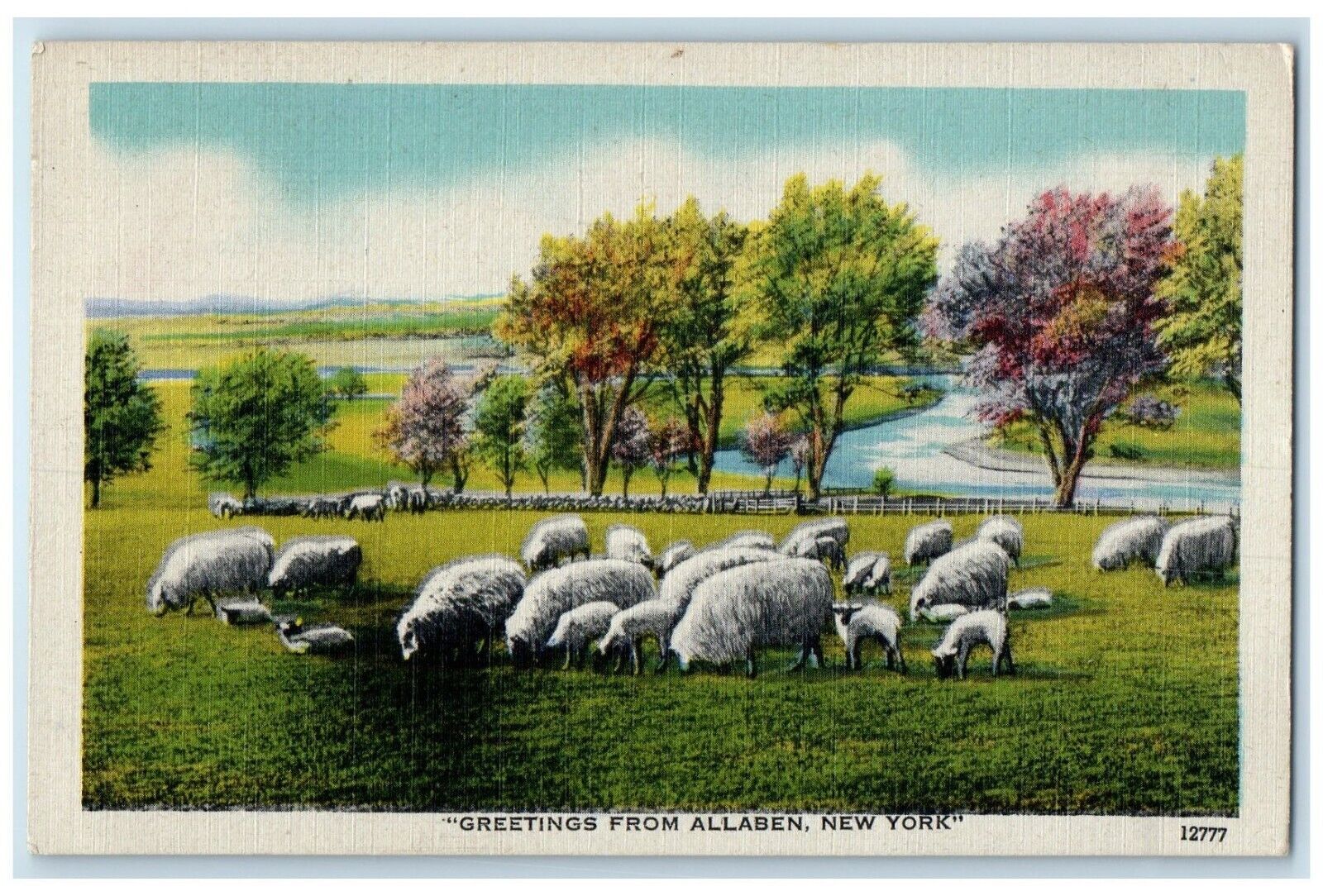 1946 Greetings From Sheep Flock Field Allaben New York Vintage Antique Postcard