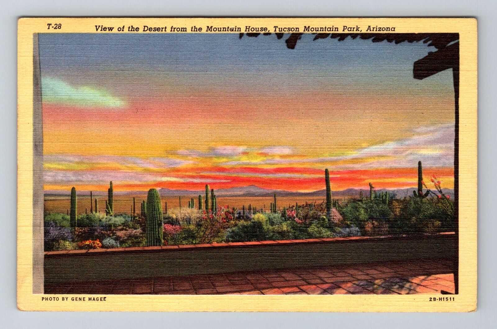 Tucson AZ-Arizona, Desert From The Mountain House, Vintage Postcard