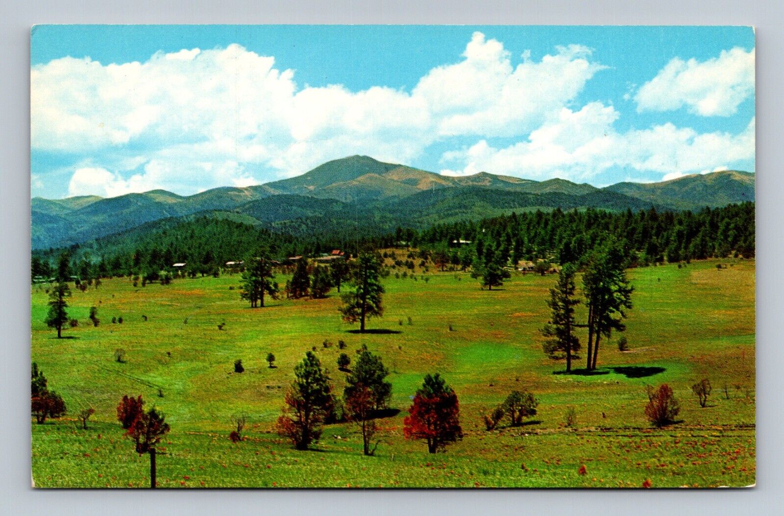 Ruidoso New Mexico Golf Course White Mountain Postcard