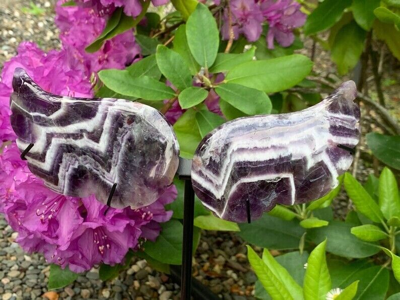 Dream Amethyst Butterfly Wings/w Stand,Quartz Crystal,Metaphysical,Decor,Reiki
