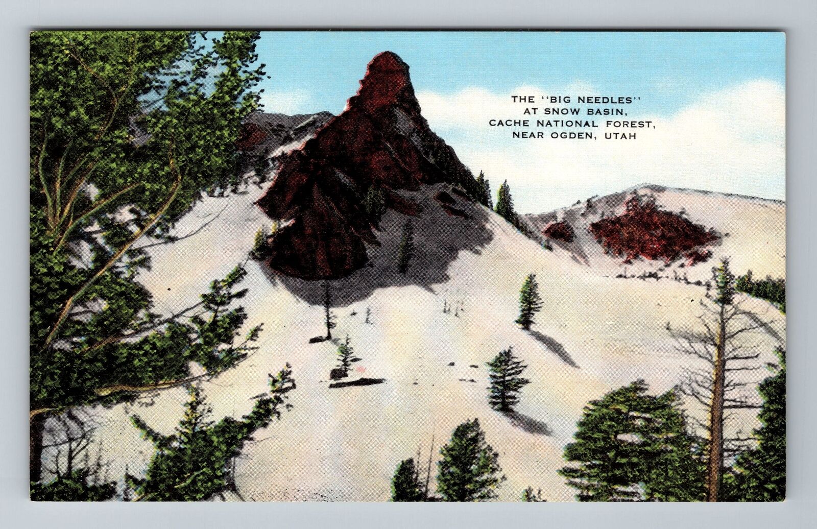 Ogden UT-Utah, Big Needles At Snow Basin, National Forest, Vintage Postcard
