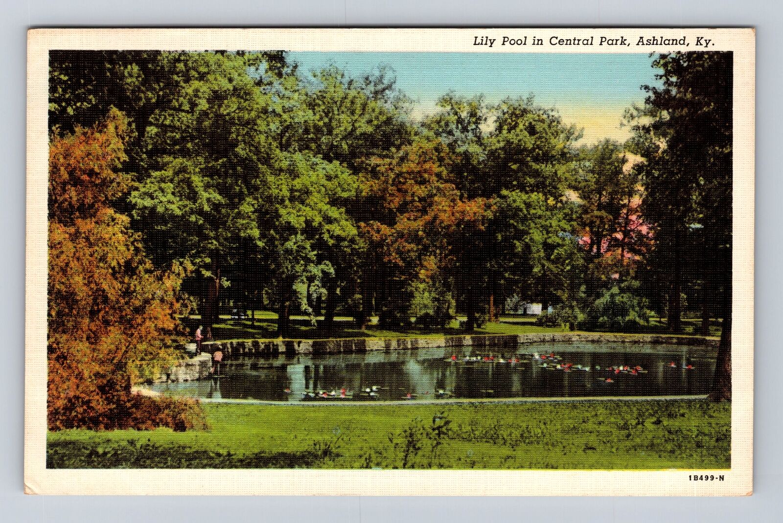 Ashland KY-Kentucky, Lily Pool in Central Park, Antique Vintage Postcard