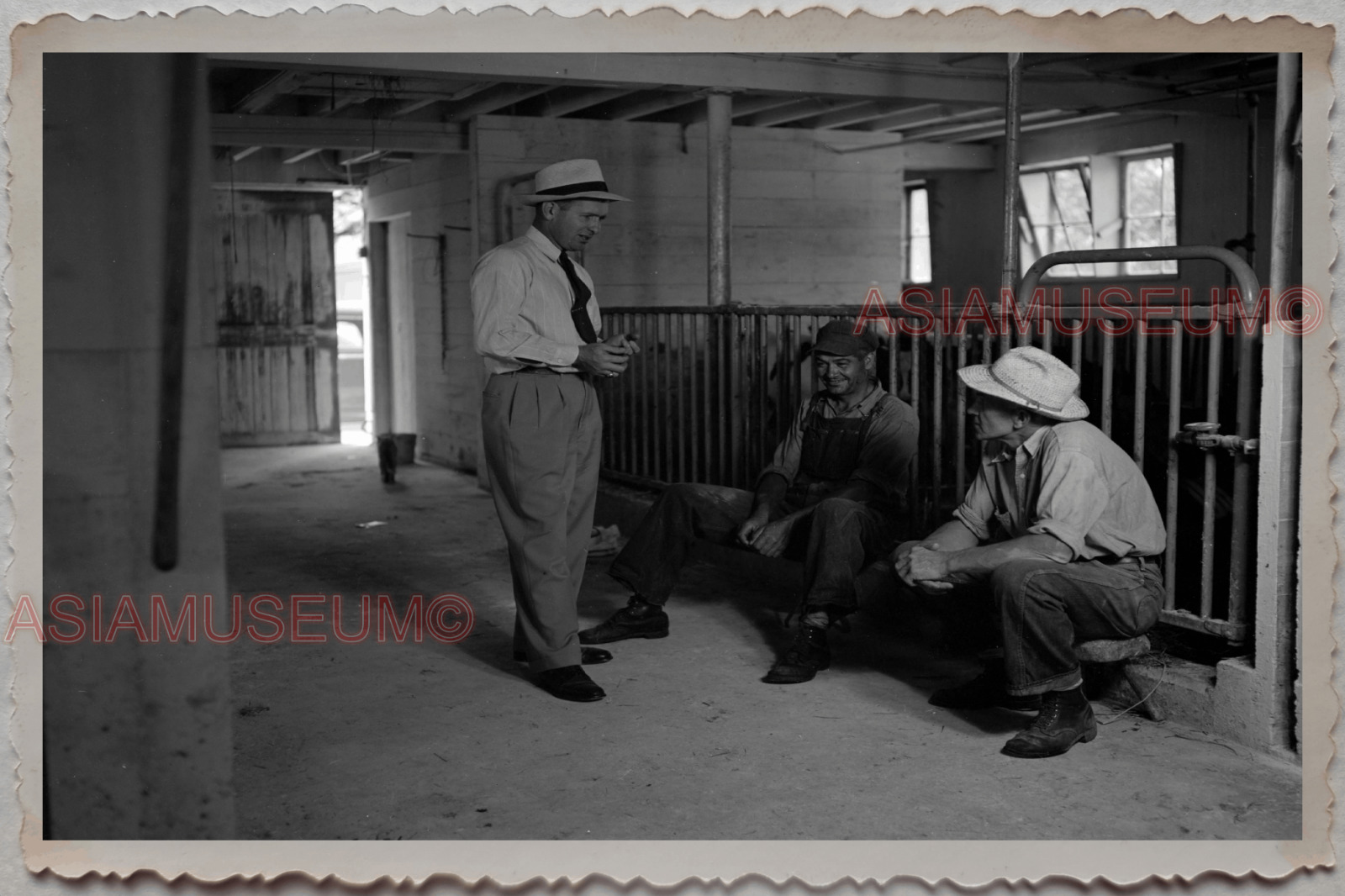 50s HUNTLEY MCHENRY KANE ILLINOIS WORKER MILK COW VINTAGE USA Photograph 12628